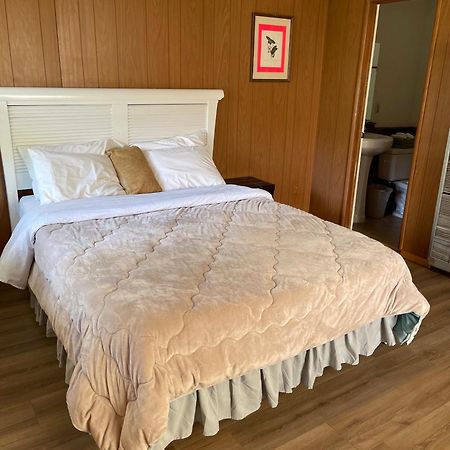 Mountain View Cabins 赖特伍德 外观 照片
