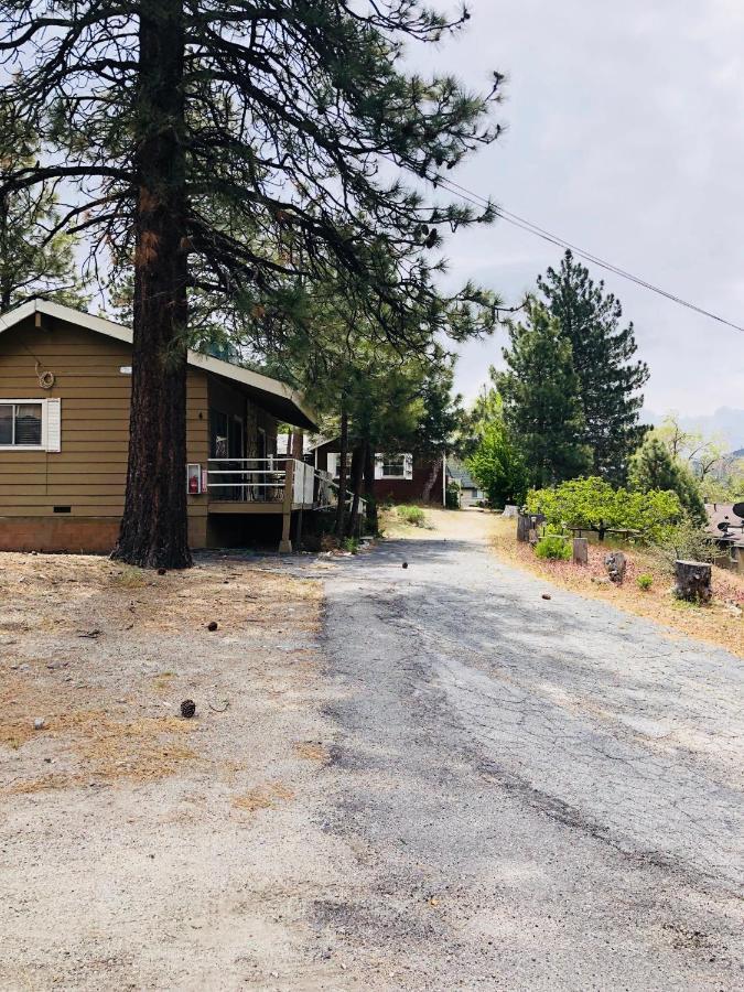Mountain View Cabins 赖特伍德 外观 照片
